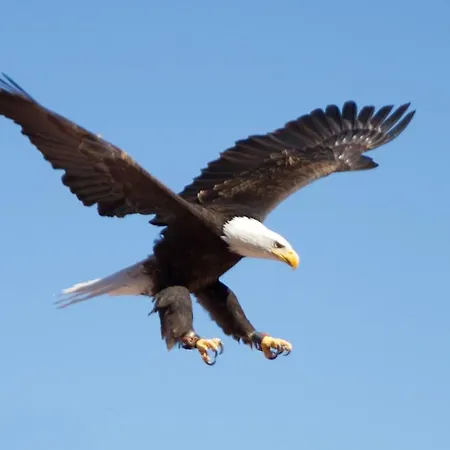 Vakantiepark Sjavik Vacation Jektvik